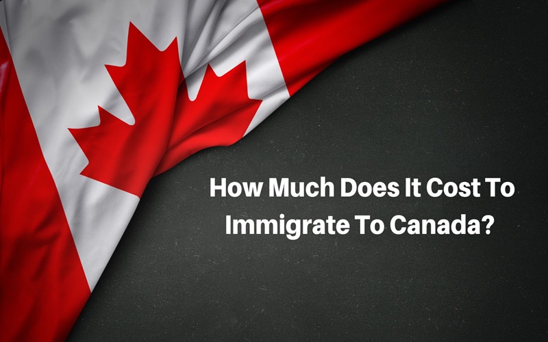 How Much Money Do You Need To Immigrate Canada?