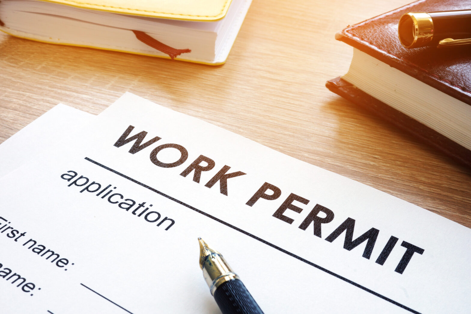 Work Permit / Job Offer